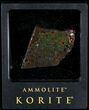Brilliant Iridescent Ammolite With Display Case #31685-1